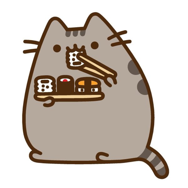 кот pusheen