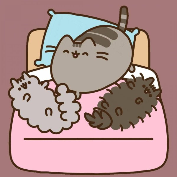 cat pusheen