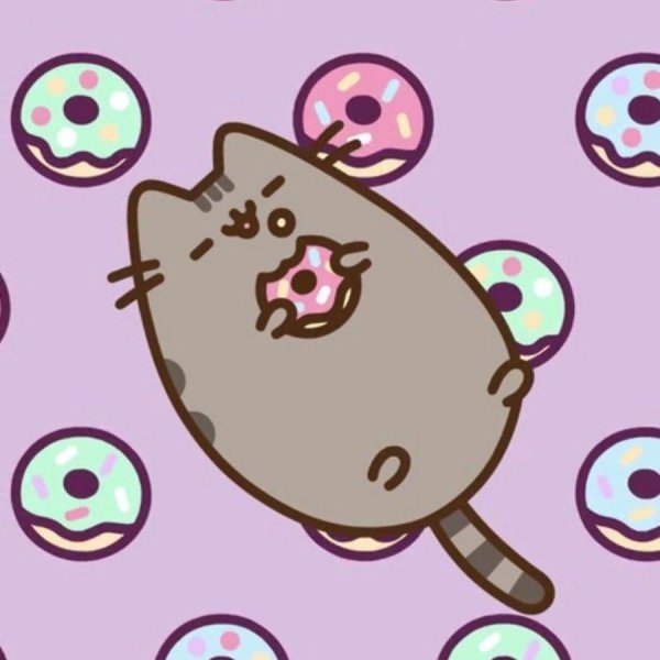 кот pusheen