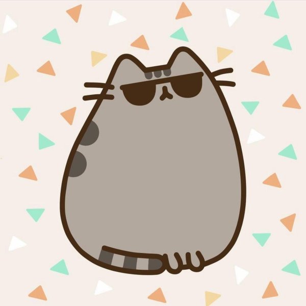 кот pusheen