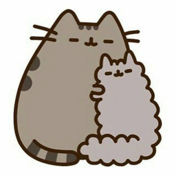 кот pusheen