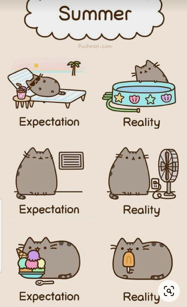 семья пушина кота