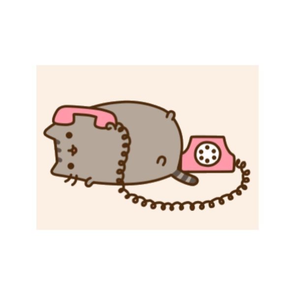 кот pusheen