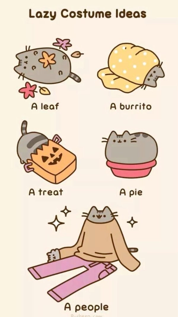 cat pusheen