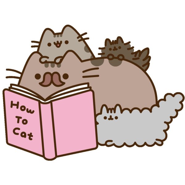 кот pusheen
