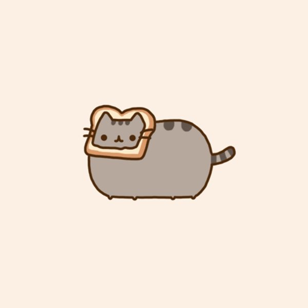 кот pusheen