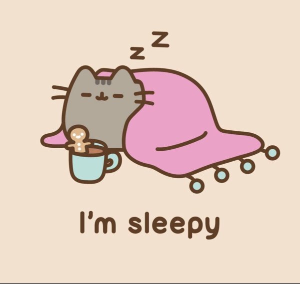 cat pusheen