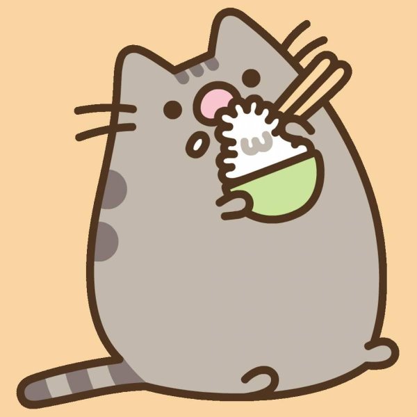 pusheen the cat