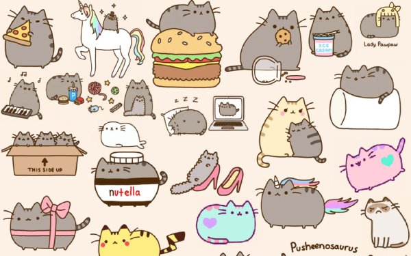 кот pusheen