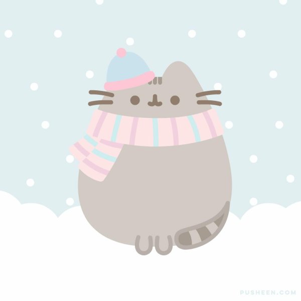 cat pusheen