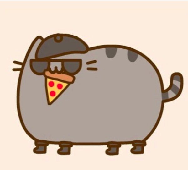 кот pusheen