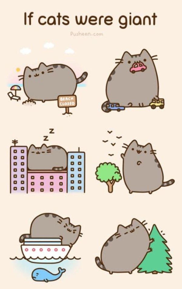 cat pusheen