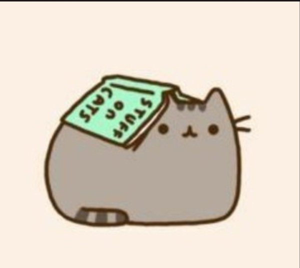pusheen the cat
