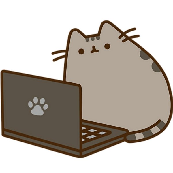 pusheen cat