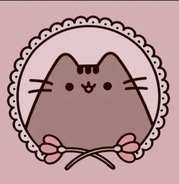 кот pusheen