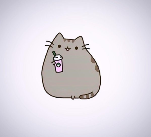 кот pusheen