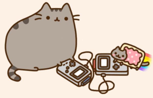 кот pusheen