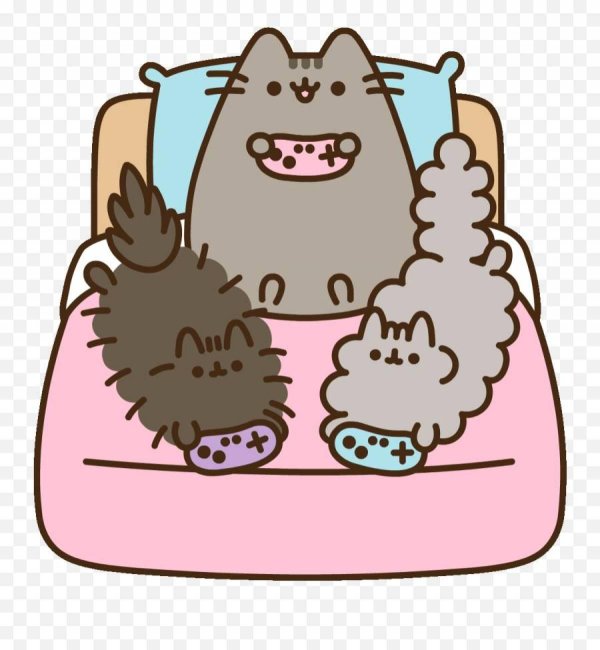 кот pusheen