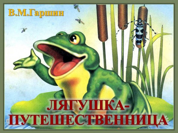 Лягушка путешественница