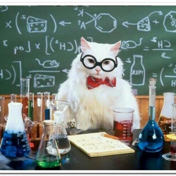 учитель химии