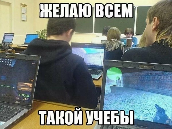 студент прикол