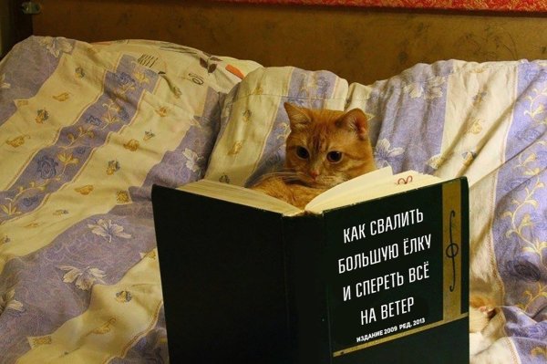 Учись студент