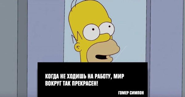 высказывания гомера симпсона