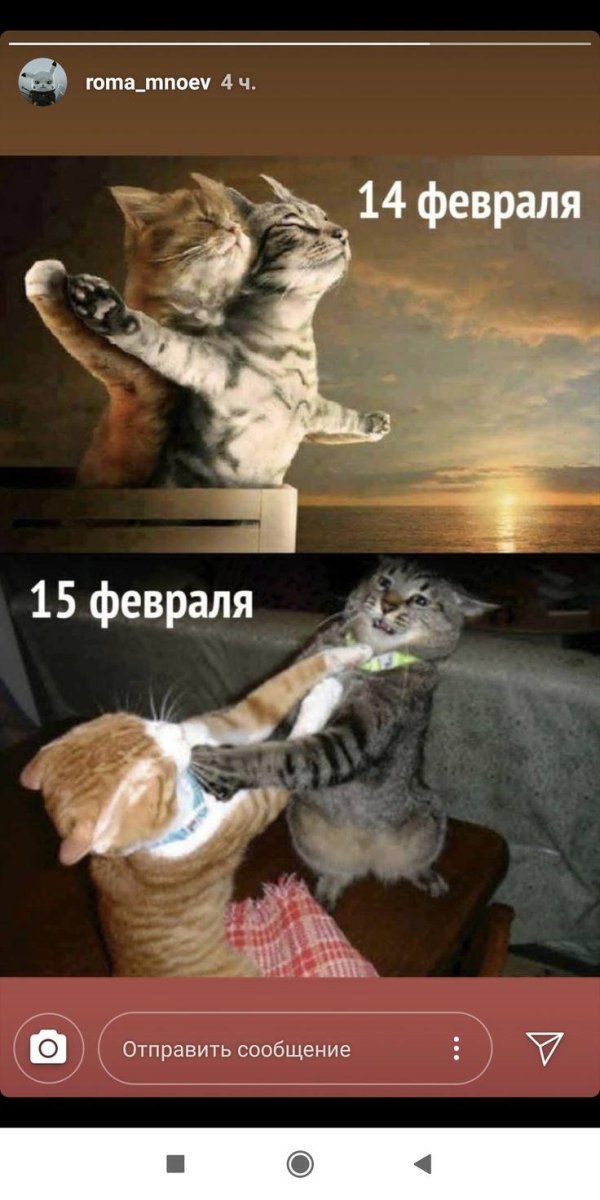 14 февраля прикол
