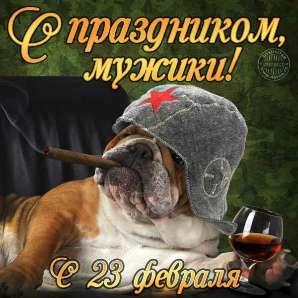 бульдог с сигарой