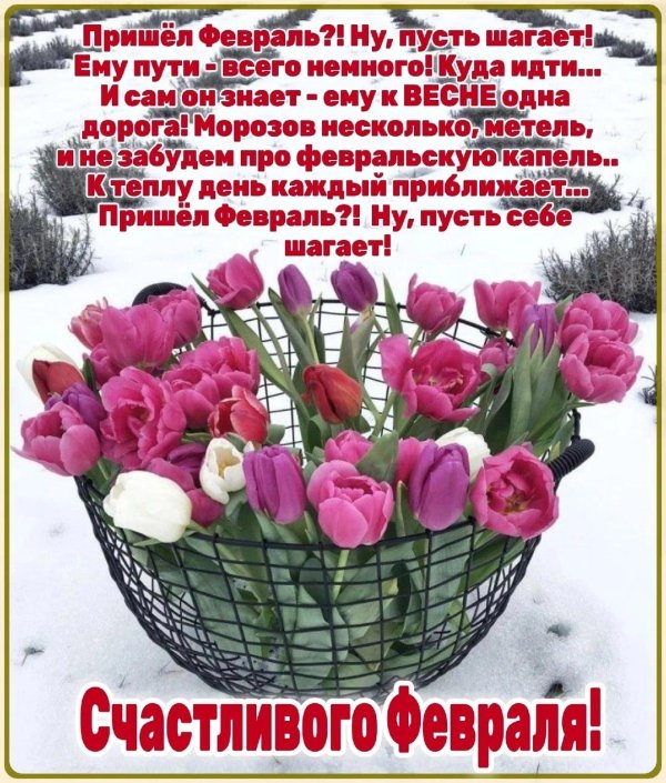 открытка с добрым февральским днем
