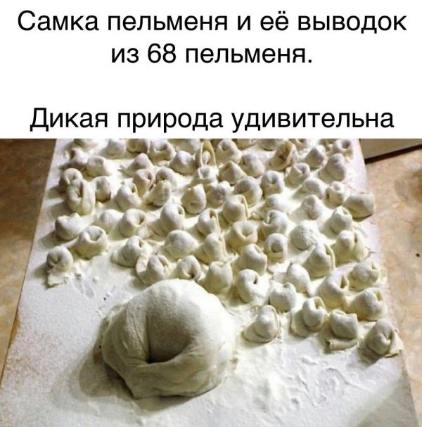 лепка пельменей