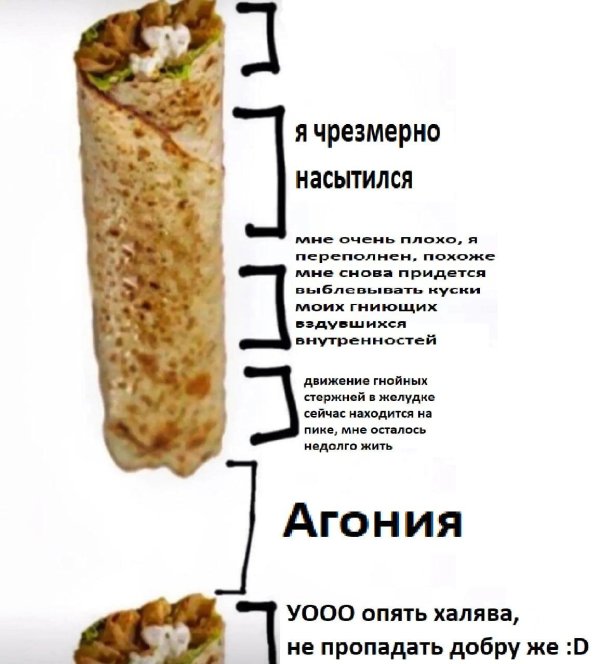 состав шаурмы