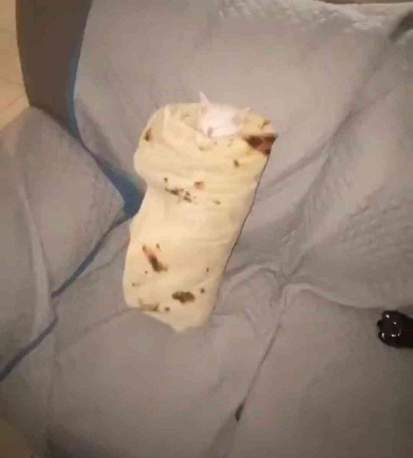 приготовление шаурмы