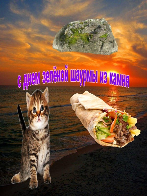 всемирный день шаурмы