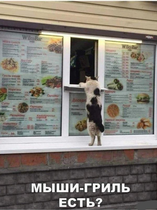 лютые приколы