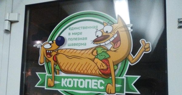 котопес мультик