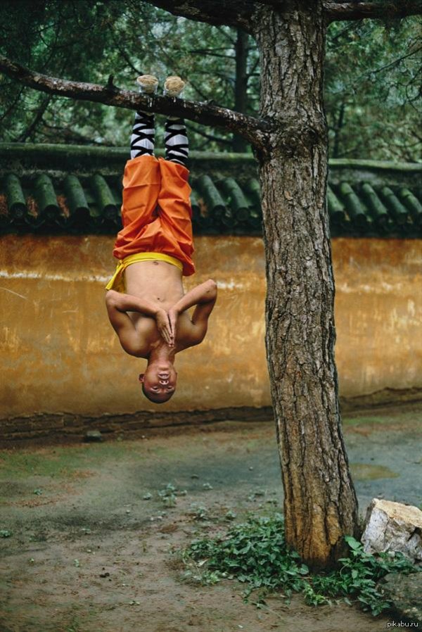 шаолиньские монахи