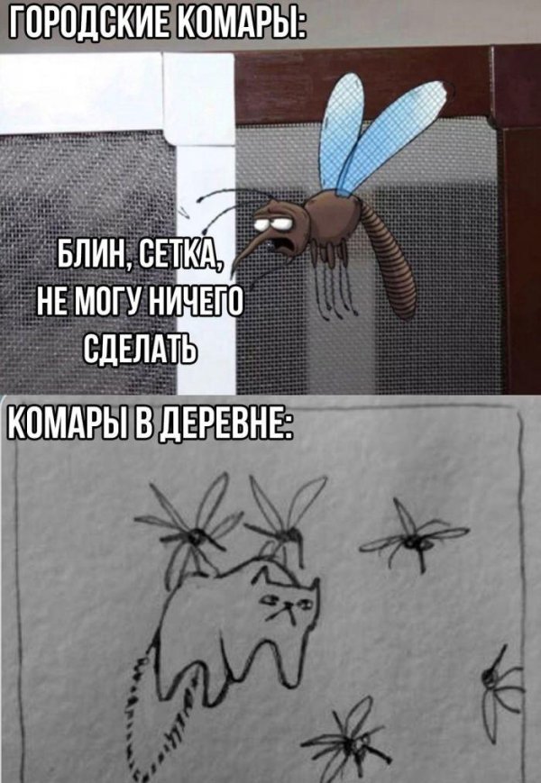 прикольный комар