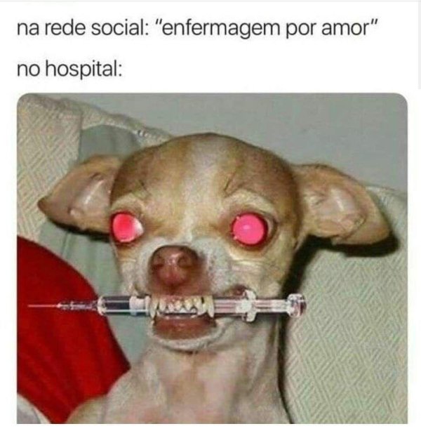 собака наркоман