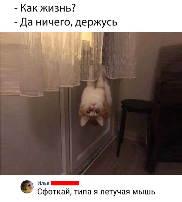 ничего держусь