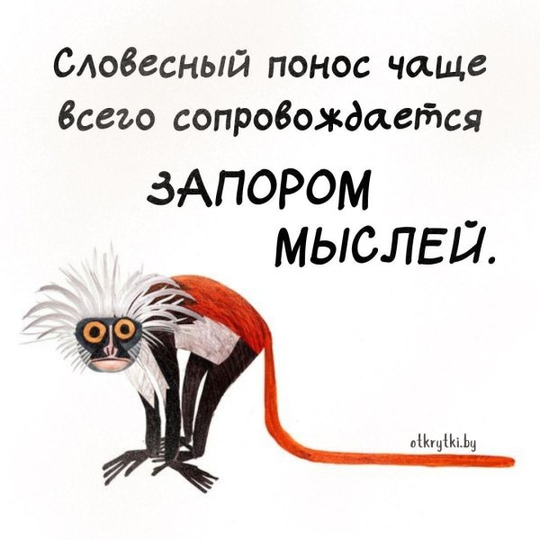 словесный понос