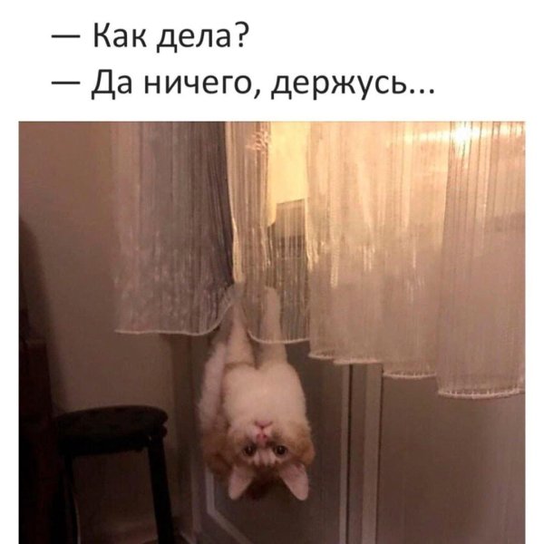 ничего держусь