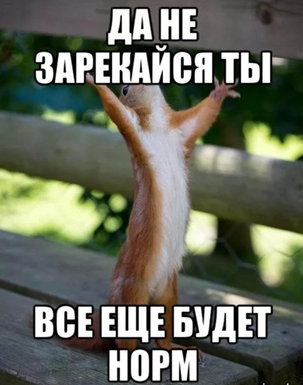 наконец то выходные