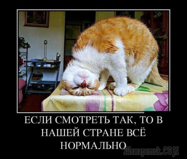 наша страна