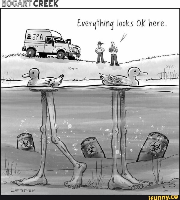 утка карикатура