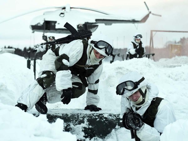 80я мотострелковая арктическая бригада