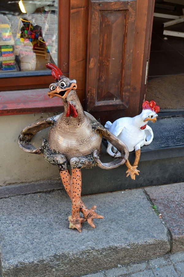 курочка прикольная