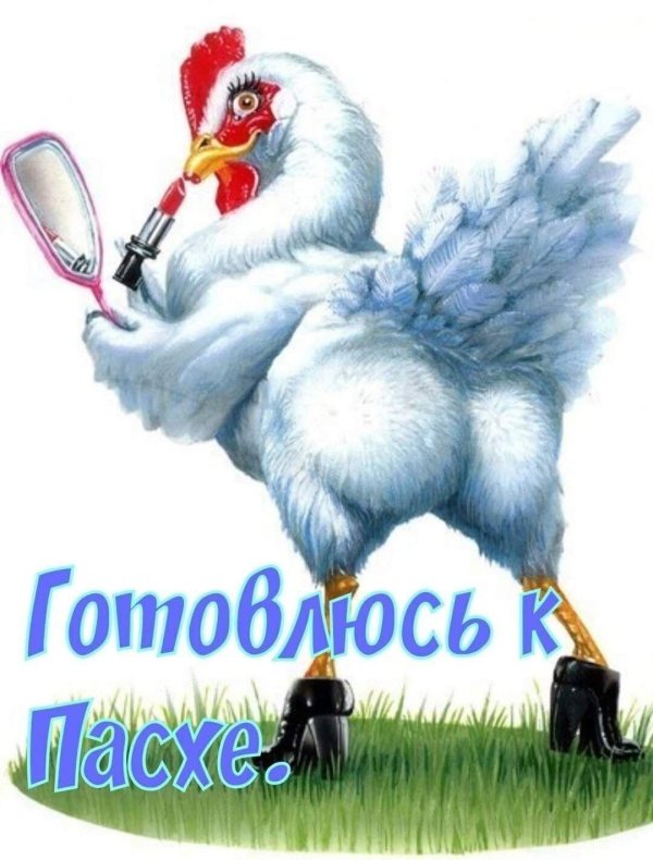 с днем курицы