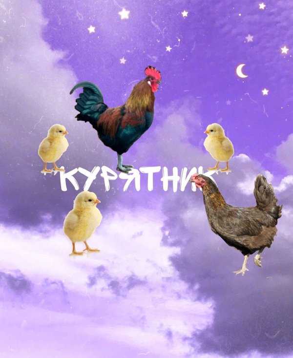 курятник ава для группы