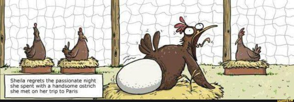 яйца карикатура